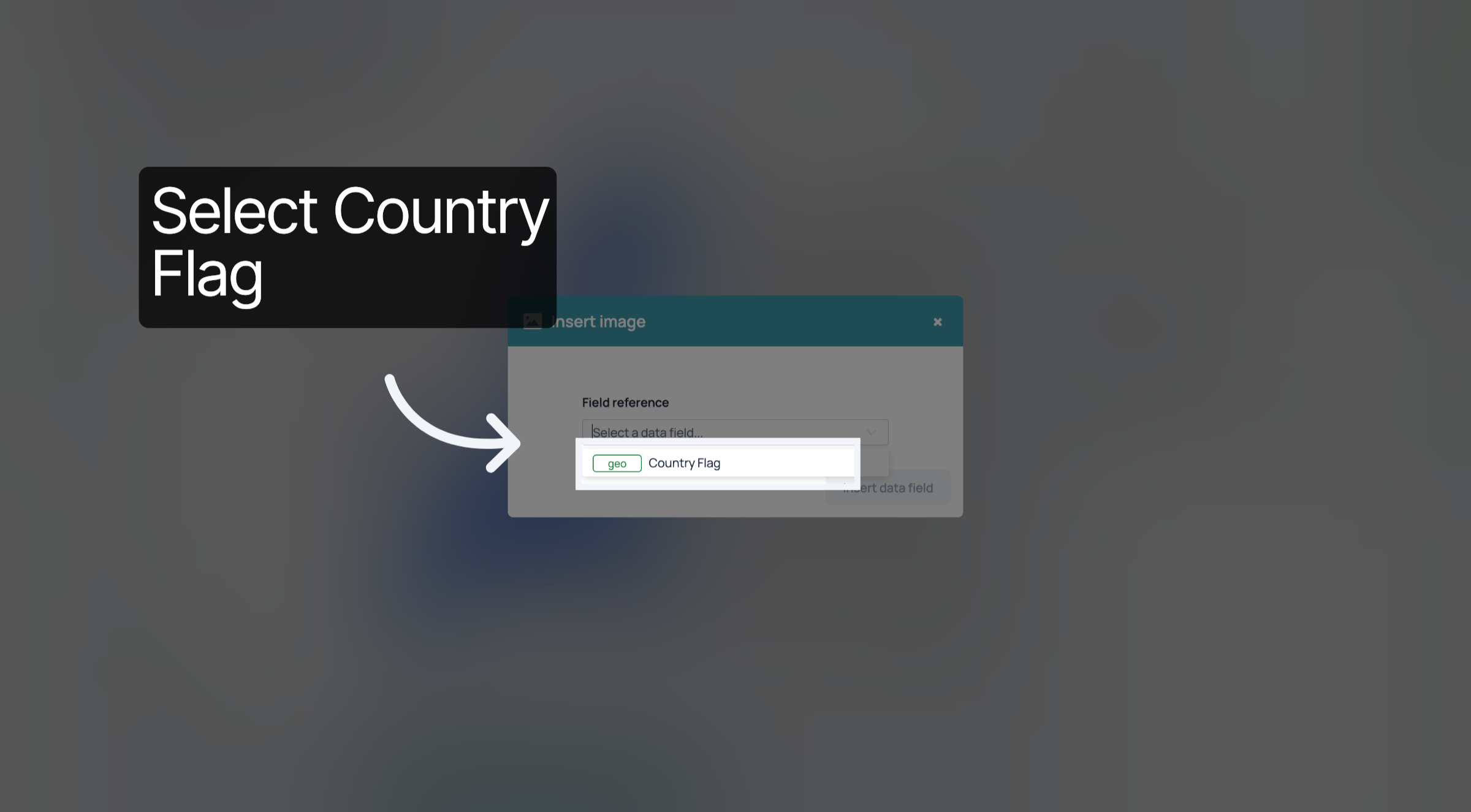 Select Country Flag