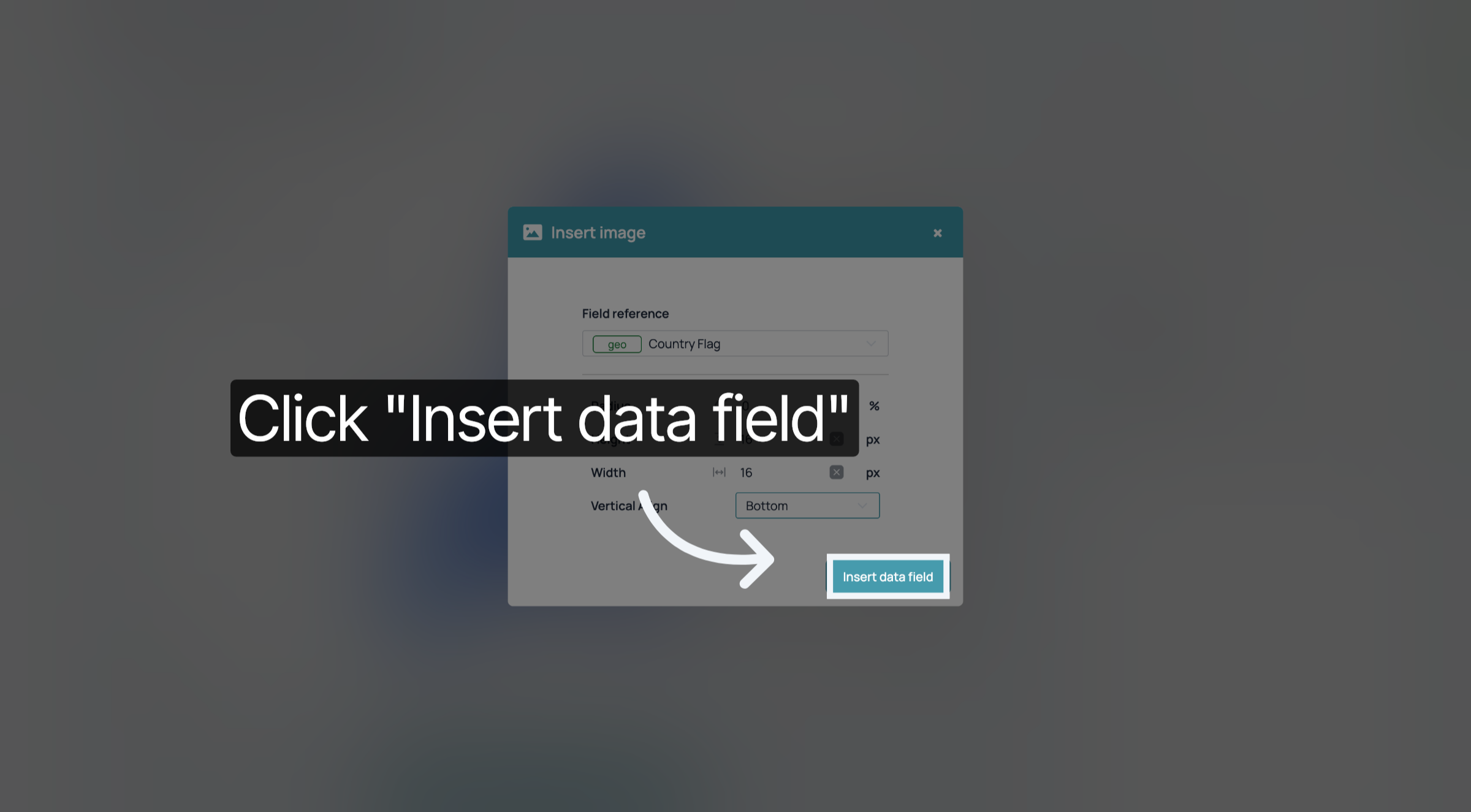 Insert Data Field