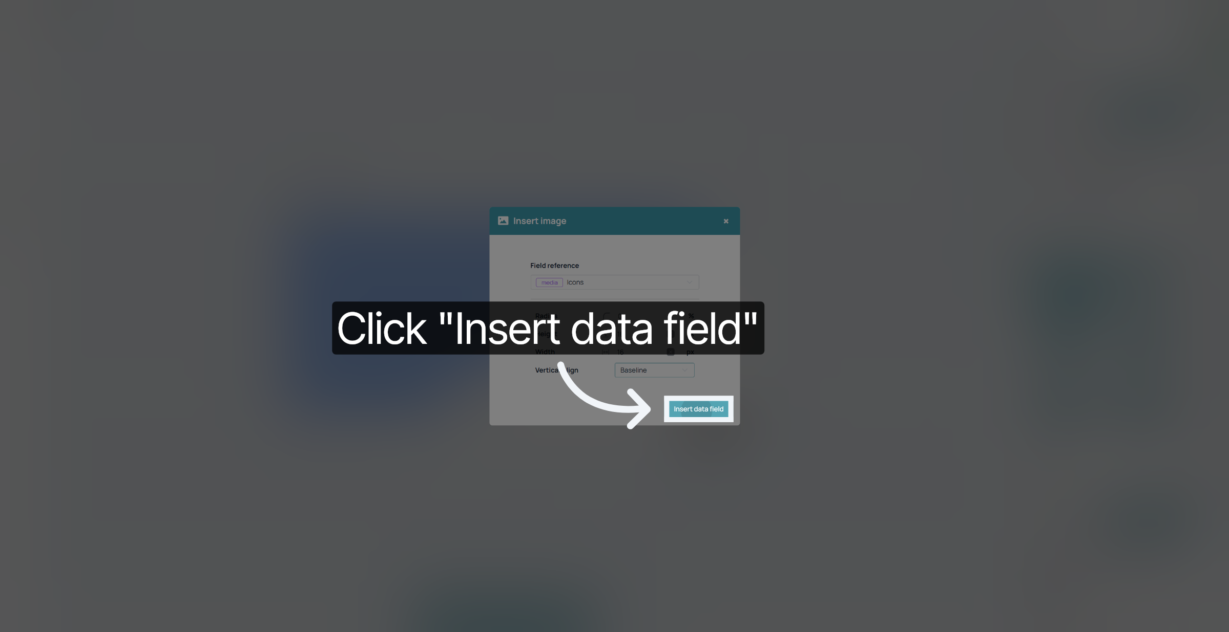 Insert Data Field