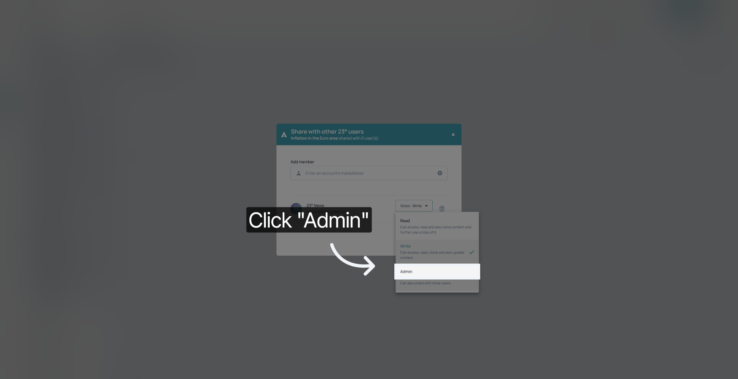 Assign Admin Role