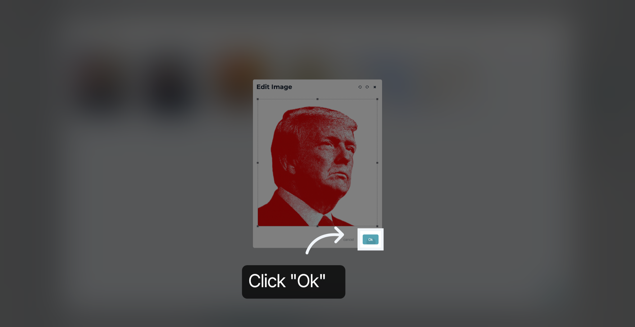 Crop image and click 'Ok'
