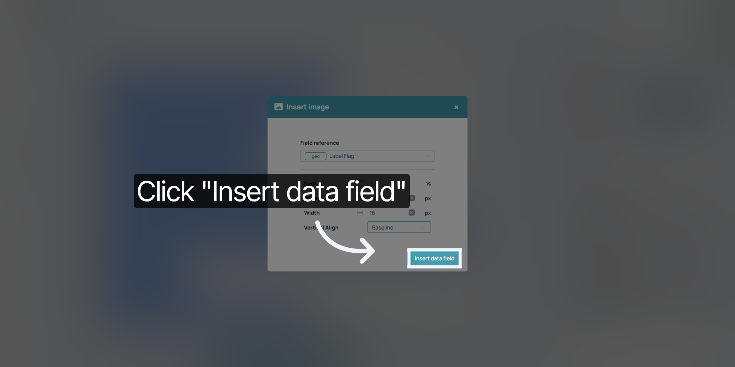 Insert Data Field