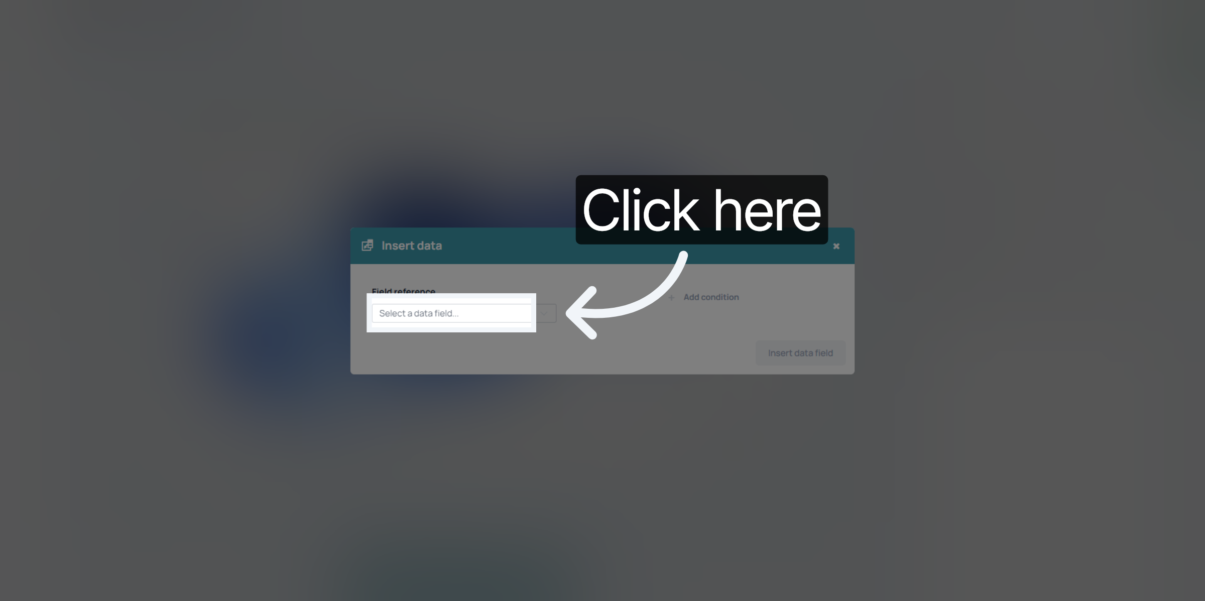 Chose Data to Display