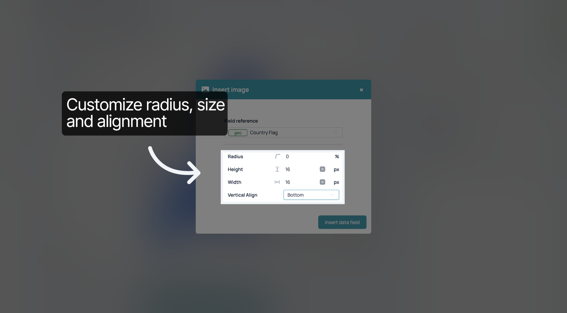 Insert Data Field